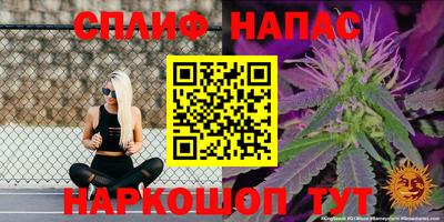 мдпв Лесосибирск