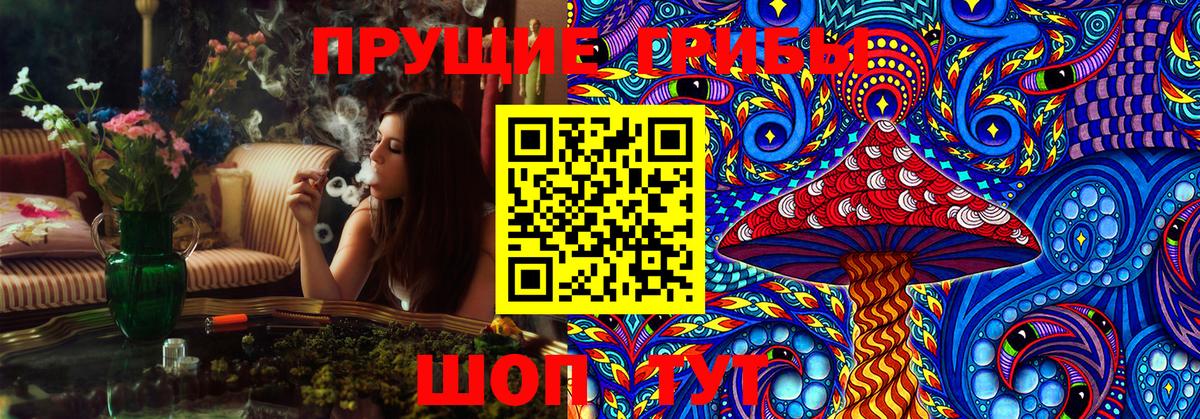 Заводоуковск  Псилоцибиновые грибы мухоморы  Вход с VPN 
